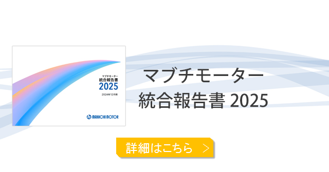 統合報告書